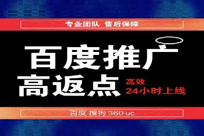 百度推广公司的成功案例：如何实现广告投资回报最大化